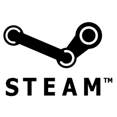 Steam repair