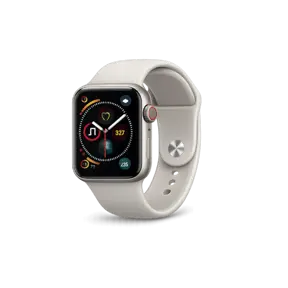 Smartwatch repair